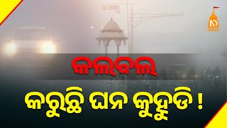 କଲବଲ କରୁଛି ଘନ କୁହୁଡି  || Odisha Top News || Latest odisha news || #niladrisayalive