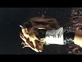 Ariana Grande - Problem (feat. Iggy Azalea) - The Honeymoon Tour (Sunrise, FL) 71815 ♡