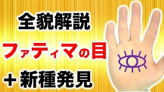 【手相】ファティマの目(聡明紋)全貌解説＆新種ファティマを含む７タイプを紹介