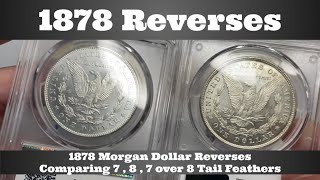 Comparing 1878 Morgan Dollar Reverses - 8 Tail Feathers, 7 Tail Feathers, 7 Over 8 Tail Feathers