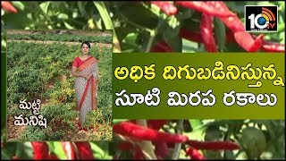 అధిక దిగుబడినిస్తున్న సూటి మిరప రకాలు | Earn High Profits in Mirchi Cultivation | 10TV News