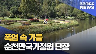 순천만 국가정원의 폭염 속 가을[목포MBC 뉴스투데이]