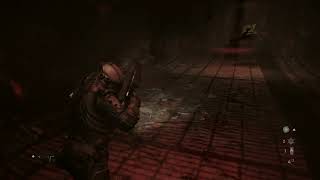 No Damage: Unmerged Terror Boss Fight / Find Weronika in Underground Facility - Cronos: The New Dawn