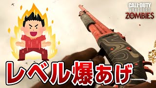 【レベル上げ】爆速で武器レベルアップ！簡単に武器レベル上げと迷彩解除する方法を解説！CoD:ヴァンガード ゾンビ