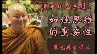 （中文字幕）清净自在系列 3 - 17 如理思维的重要性 The importance of yoniso manasikara