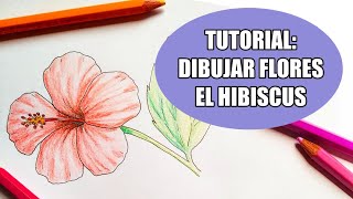 Dibuja conmigo: flor de hibisco (tutorial)