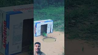 2 Effective in 1 Trap - Build Underground Technique Parrot Trap #ytshorts #shorts #animaltrap