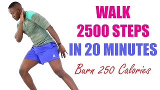 Walk 2500 Steps in 20 Minutes/ Intense Home Walking Workout