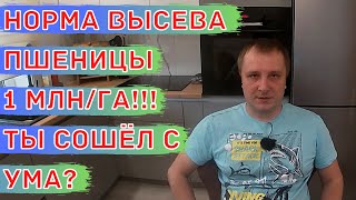 С какой нормой высева сеять зерновые культуры?