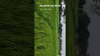 Jay Javan jay kishan