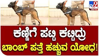 German Shepherd: ಎಲ್ಲಾ ರಾಜಕೀಯ ಗಣ್ಯರ ಕಾರ್ಯಕ್ರಮಕ್ಕೂ ಬೇಕು ಈ ಯೋಧ! | #TV9B