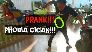 Prank Teman Yang Phobia Cicak!!!