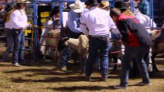 Folsom Pro Rodeo - Vicious Steed