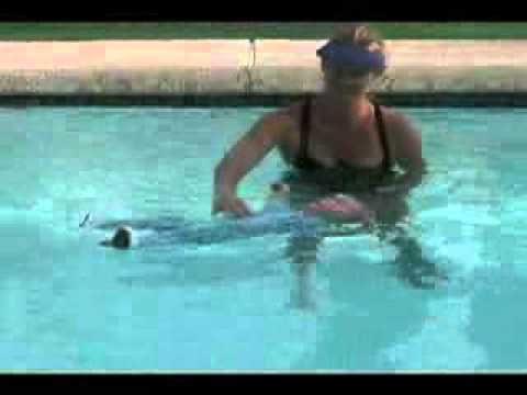 Teaching a baby survival in water. Teaching a baby survival in water.