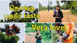 நொங்கு பதநீர்/பதநீர் குடிக்கலாம் வாங்க/ #pathaneer #tamil #panaimaram #tamilvlog @kuttythottam2209