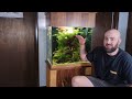 everything you need to know about rotala rotundifolia a plant guide