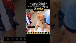 🤣🤣🤣 ഒന്നും പഠിച്ചിട്ടും ഇല്ല......🤣🤣🤣🤣