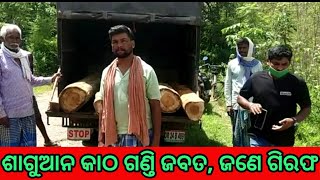 ଶାଗୁଆନ କାଠ ଗଣ୍ତି ଜବତ, ଜଣେ ଗିରଫ #wood_sized #Desia_Khabar