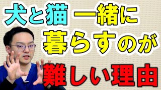 犬派も猫派もみんな見て！犬と猫の違いを獣医さんが語る！【Part.3】