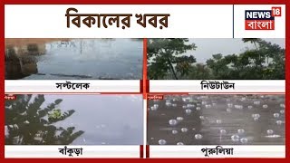 নতুন বছরে অকাল বর্ষণ, Siliguri-তে মুখ্যমন্ত্রীর মিছিল ও অন্যান্য খবর । Khobor Dinbhor