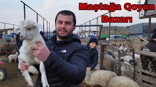 Maştağa Qoyun Bazarı 05.02.23