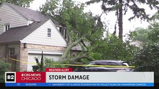 Storms knock down trees, flood roads across Chicago area