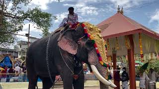 ചെർപ്പുളശ്ശേരി  രാജശേഖരൻ