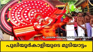 Puliyukali Theyyam | പുലിയൂർകാളി തെയ്യം || Theyyam 382