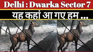 Delhi : Dwarka Sector 7 : यह कहाँ आ गए हम