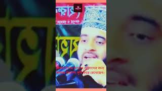 কেমন সুন্দর জান্নাত আমাদের জন্য আল্লাহ তায়ালা সৃষ্টি করে রেখেছেন।#shortvideo #shorts #shortsviral