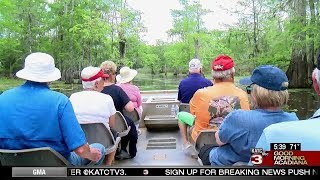 Tourists from across the globe come to Acadiana for Champagne's Cajun Swamp Tours