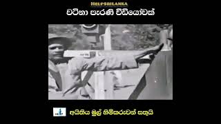 ශ්‍රි ලංකාවේ පැරණි ජන ජීවිතය සහ යටත් විජිත සමයේ සිදුවීම්  පිළිබඳ පැරණි වීඩියෝවක් ...