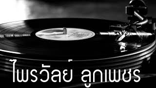 สำรวยลืมคำ / ไพรวัลย์ ลูกเพชร