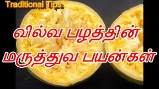 வில்வ பழத்தின் மருத்துவ பயன்கள் || Bilwa fruit advantages in Tamil