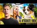 Ce CHIOT n'a AUCUN Rappel & Mordille (nos conseils) - Sos Educ Dog Ep 3