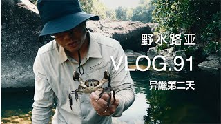 野水路亞VLOG.91 | 小溪里摸上來2只大閘蟹？不對 我是來釣魚的