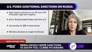 Russia ‘has insulated itself from sanctions,’ Northwestern professor says