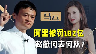 马云退休逃过一劫，阿里巴巴被罚182亿，加入阿里的赵薇何炅该咋办【隐秘世家】