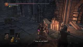 DS3 Vigor Only run