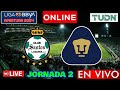 EN VIVO: Santos vs Pumas | Jornada 2 Apertura 2024 | Liga MX EN VIVO | Partido Completo