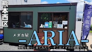 【メダカ】今年誕生した熊本のメダカ屋を発見しました‼️‼️