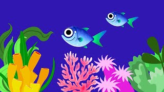 2 Hours Baby fall asleep in 3 minutes no ads, best lullaby Music for your baby aquarium fish #033