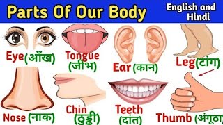 Parts of our Body | शरीर के अंगों के नाम | Hindi and English Vocabulary | Mind of kids