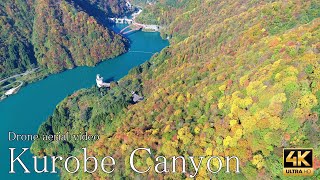 【ドローン空撮・4K】黒部峡谷　紅葉 ／【Drone aerial video・4K 】Kurobe canyon Autumn leaves