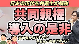 【共同親権制度は導入すべきか！？】日本の現状を弁護士が解説。皆様の意見もぜひ教えて下さい(^^)