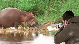 Moments that raise adrenaline  Hunter's encounters with wild predators