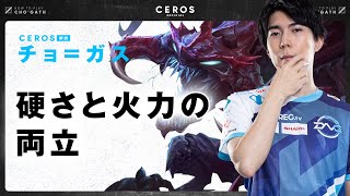 CCとダメージをばら撒く少しだけ硬いメイジ【Ceros解説チョ＝ガス編】パッチ12.5