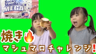 【おうちキャンプ飯！？】焼きマシュマロにチャレンジ！〜YouTubeやTikTokで流行っている、外はカリカリ、中はトロトロの焼きマシュマロ作りをしてみたよ！〜