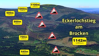 500m Altitude Uphill Challenge for Treadmill and Crosstrainer - Eckerlochstieg on the Brocken