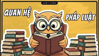 Tất Cả Về Quan Hệ Pháp Luật Bạn Phải Biết | Pháp Luật Đại Cương